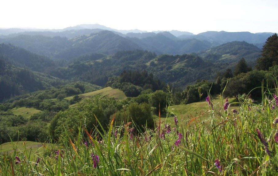 Austin Creek State Recreation Area, California, USA